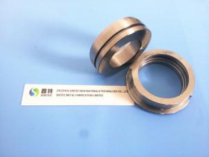 Customized Tungsten Carbide Seal Ring